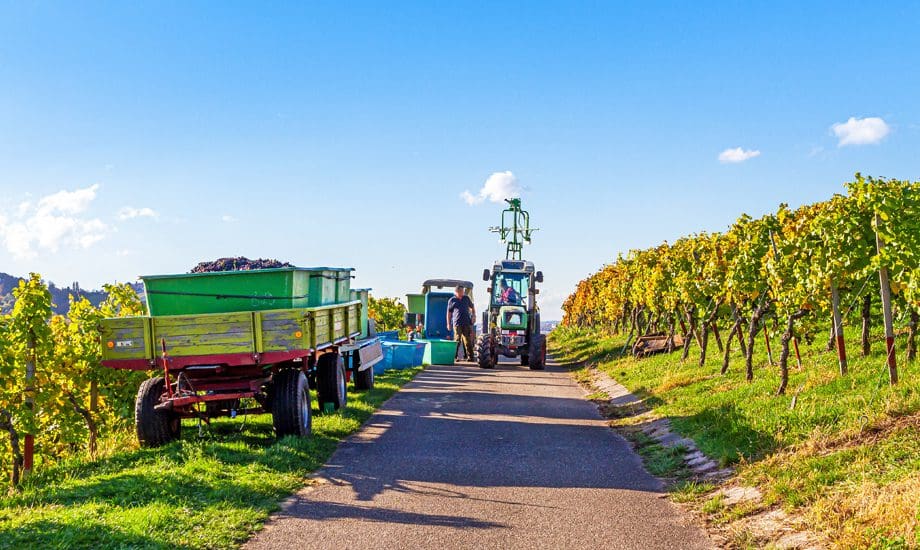 how to manage seasonal cash flow - seasonal agriculture work